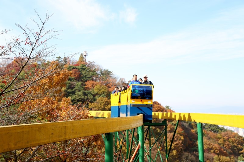 지산유원지 단풍에 대한 이미지 검색결과